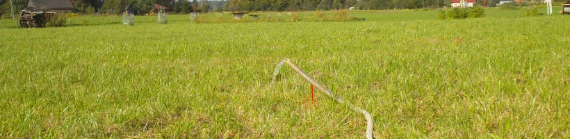 Spices skalošana Rīgā,Mārupē