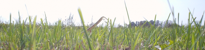 Spicē nav ūdens,spices remonts