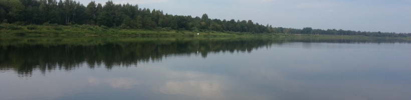 Tīrs ūdens no ūdens spices